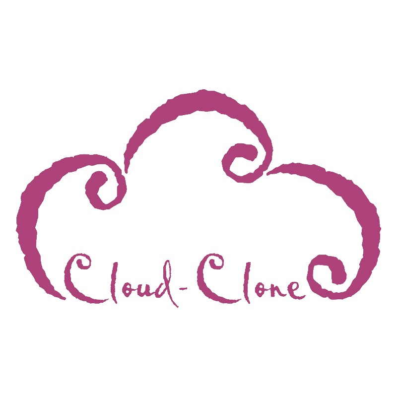 Cloud Clone