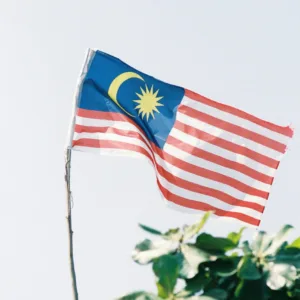 Malaysia - Trusted Press Release Services with Confirmed Media Placements