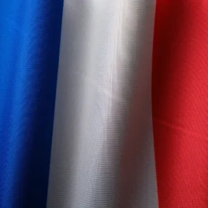 Link Building France