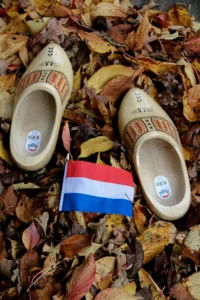 How to Gain Visibility with Press Release Distribution Netherlands